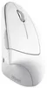 Trust Verto, rechts, Optisch, RF Wireless, 1600 DPI, Weiß Produktbild-Vorschau 6