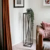 A black metal plant stand with a green plant on top, placed in a room next to a curtain and a sofa. Voir les images du produit