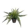 Mica Decorations Farn Kunstpflanze im Blumentopf Stan - H38 Produktbild-Vorschau 1