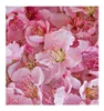 Yodeyma Sexy Rose Woda Perfumowana Dla Kobiet 15ml Podgląd zdjęcia produktu 5