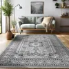 A living room scene with a sofa, rug, plant, and lamp. Produktbild-Vorschau