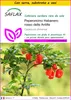SAFLAX Insieme di coltivazione - Peperoncino Habanero rosso Anteprima dell’immagine prodotto 1