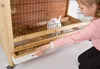 Kerbl Kleintierkäfig Indoor Deluxe mit zwei Etagen, L x B x Produktbild-Vorschau 3