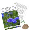 Kornblumen Samen (Centaurea cyanus) - Wunderschön Produktbild-Vorschau 1