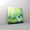Bilder auf glas - natur natur - 60x60cm - Glasbilder - Produktbild-Vorschau 4
