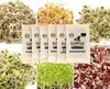 Keimsprossen Set Asiatisch (6 Sorten) |  Keimsprossen Sets Produktbild-Vorschau 6