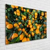 Tulup® Glas-Bild - 100 x 70 - Wandbild aus Glas - Wandkunst Produktbild-Vorschau 2