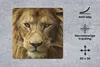 MuchoWow® Mauspad Mousepad Afrikanischer Löwe Porträt 30x30 Produktbild-Vorschau 2