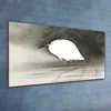Coloray Bild aus Acryl 120 cm x 60 cm - Gehärtetes Acryl Produktbild-Vorschau 2