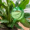 Sillar 8x palline di irrigazione per piante 250 ml verde – Anteprima dell’immagine prodotto 5