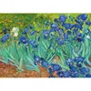 Puzzle 1000 pièces Enjoy – Vincent van Gogh : Iris Voir les images du produit 2