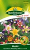 Quedlinburger Saatgut - Akelei - Samen - 501452 Produktbild-Vorschau 5