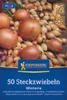 Kiepenkerl Winterteeltuippen Winteria - geel, Allium cepa, Productafbeelding-voorbeeld 1