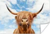 MuchoWow® Poster Schottisches Hochlandrind - Wolke - Tiere Produktbild-Vorschau 1