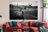 MuchoWow® Poster Tiere - Hirsch - Geweih - Schwarz und weiß Produktbild-Vorschau 2