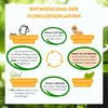 Florfliegenlarven gegen Blattläuse, Spinnmilben, Thripse & Produktbild-Vorschau 5