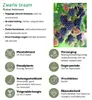 Plants by Frank | Fruchtparadies  Obstpflanzen Mix | Produktbild-Vorschau 7