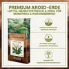 Green Home Aroid Erde 72 L – Spezialerde für Monstera, Produktbild-Vorschau 2