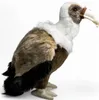Carl Dick Vautour env. 27cm Peluche, animal en peluche, Voir les images du produit 4