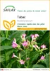 SAFLAX  - Tabac - 250 graines - Nicotiana Voir les images du produit 1