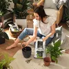 Substrato per piante LECHUZA LECHUZA-PON 30 litri | Anteprima dell’immagine prodotto 31