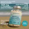 Collagène marin Aavalabs | Type I et acide hyaluronique | Voir les images du produit 8