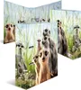 Classeur A4 en carton HERMA Suricate Voir les images du produit 4
