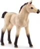 Schleich - Tierfiguren, Pferdebox mit Arabern und Produktbild-Vorschau 5