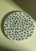 A light green plate filled with roasted and salted pumpkin seeds, placed on a light green background with shadows. Produktbild-Vorschau