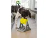 Beeztees Brain Game Rodar - Hundespielzeug - Kunststoff - Produktbild-Vorschau 10
