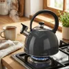 Waterkoker Florina Brillo, donkergrijs, met fluit, 2,5 Productafbeelding-voorbeeld 3