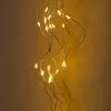 A close-up shot of a string of fairy lights with small LED bulbs. Voir les images du produit
