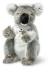 Steiff Colo Koala 29 grigio/bianco 067693 Anteprima dell’immagine prodotto 1
