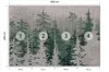 Muralo Selbstklebende Fototapete Für Wohnzimmer BÄUME Wald Produktbild-Vorschau 2