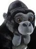 A close-up studio shot of a plush gorilla toy. Náhled obrázku produktu