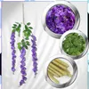 EDIBAZZAR | 12 kusov Wisteria Wisteria pre girlandy závesné Náhľad obrázku produktu 2