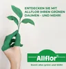 Allflor Gartenkalk Dolomiti 25 kg Produktbild-Vorschau 5