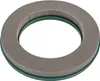 Trocken Steckschaum Kranz 30cm mit ringförmiger Produktbild-Vorschau 3