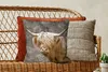 MuchoWow® Zierkissen Sofakissen Wohnzimmer Dekokissen 45x45 Produktbild-Vorschau 5
