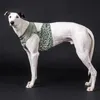 PAIKKA Hunde Kühlweste "Cool Vest" grün Leo, Größe: XL Produktbild-Vorschau 2