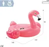 Intex RideOn Flamingo - aufblasbares Produktbild-Vorschau 49