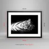 Gerahmtes Poster - Schwarzer Rahmen - Weiß Tiger Schwarz Produktbild-Vorschau 5
