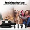 Hochleistungs-Hundefön mit starkem Wind und geringem Produktbild-Vorschau 3