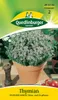Quedlinburger Saatgut - Thymian Mehrjährig - Samen - 495792 Produktbild-Vorschau 3