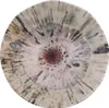 A top-down view of a round plate with a radial, abstract pattern. Produktbild-Vorschau