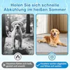 Haustier Kühlmatte, Selbstkühlende Hundematte, Kühldecke Produktbild-Vorschau 5