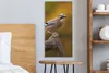 MuchoWow® - Leinwandbilder - Vogel - Zweig - Eichelhäher, Produktbild-Vorschau 4