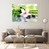 Bilder auf glas - blume orchidee - 100x70cm - Glasbilder - Produktbild-Vorschau 7