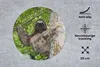 MuchoWow® Mauspad Mousepad Ein Faultier klettert auf einen Produktbild-Vorschau 2