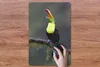 MuchoWow® Mauspad Mousepad Tukan im Regen 40x60 cm - Produktbild-Vorschau 3